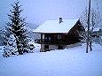 chalet en chartreuse