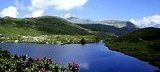 vakantie verhuren Alpen van het Zuiden Frankrijk