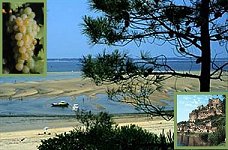 Louer pour les vacances, location  Aquitaine