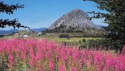 louer pour les vacances, dans l ardeche et dans la drome, location en ardeche, drome vacances
