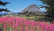 Vakantie Verhuren Ardeche und Drome - Frankrijk